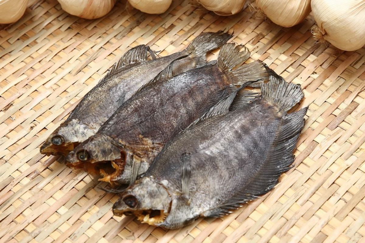 Vận chuyển hàng hóa từ Việt Nam sang Úc nhanh chóng – an toàn – tiết kiệm