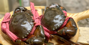Gửi cua Cà Mau đi Hà Nội