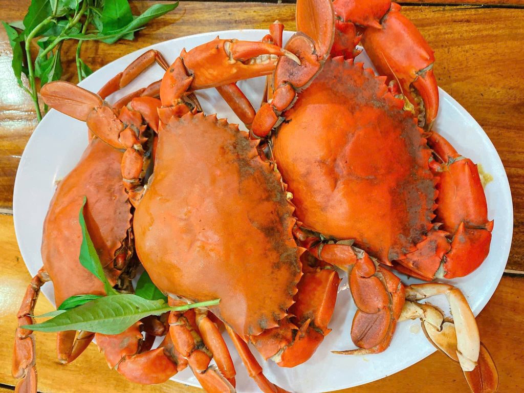 Mua hộ cua Cà Mau vận chuyển ra Hà Nội nhanh chóng an toàn