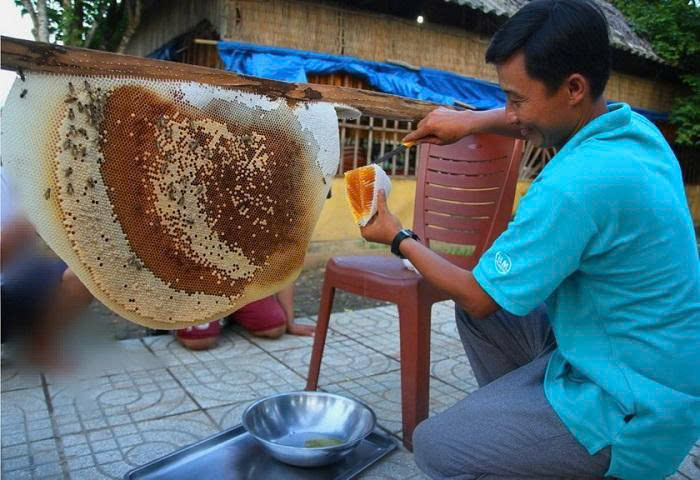 Mật Ong  U Minh – Đặc Sản Thiên nhiên Vươn xa Hàn Quốc 